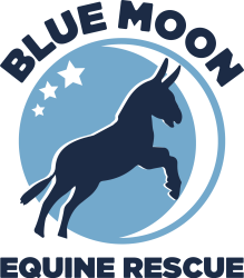 bluemoon